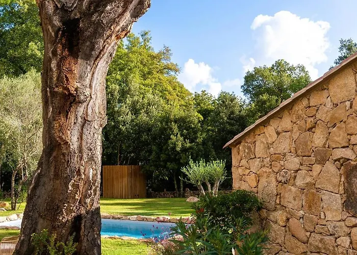 Villa Domaine De Gialla Bergerie I Pini, 2 Pers, Piscine Chauffée, 10 Mn *