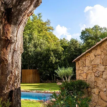 Villa Domaine De Gialla Bergerie I Pini, 2 Pers, Piscine Chauffée, 10 Mn *